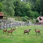 Daire Apartma Kasca Domžale