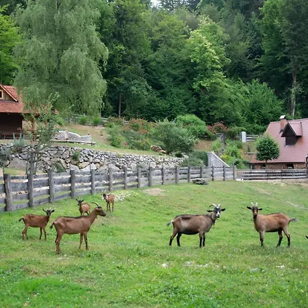 Apartma Apartma Kasca Domzale