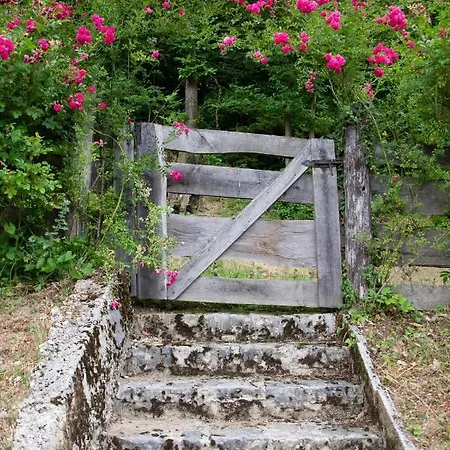 Appartamento Apartma Kasca *