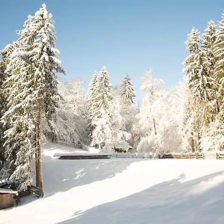 Appartement Apartma Kasca Domžale