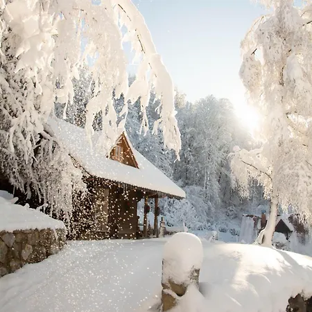 Appartement Apartma Kasca