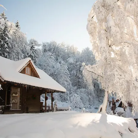Apartma Kasca Domzale
