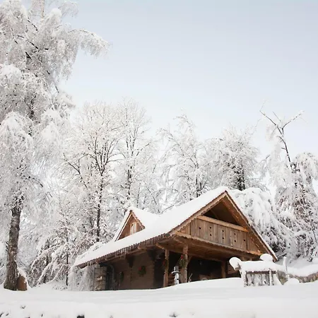 Apartma Kasca Domžale
