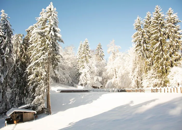 Appartamento Apartma Kasca Domžale