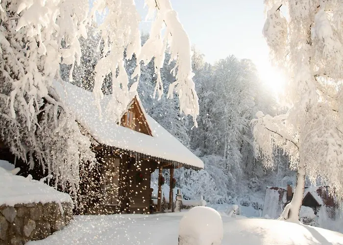 Apartma Apartma Kasca